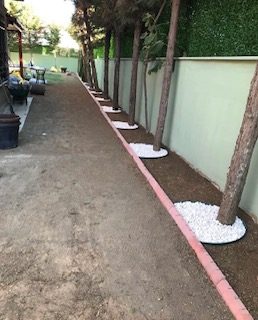 Hadımköy Konak Bahçesi Premium Çim Uygulaması