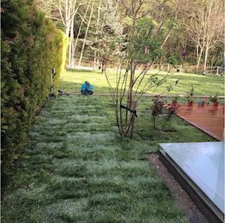 Göktürk Orman Konseptli Bahçe ve Yeşil Çit