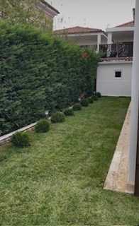 Arnavutköy Gölpark Villaları Havuz Çevresi Rulo Çim ve Peyzaj