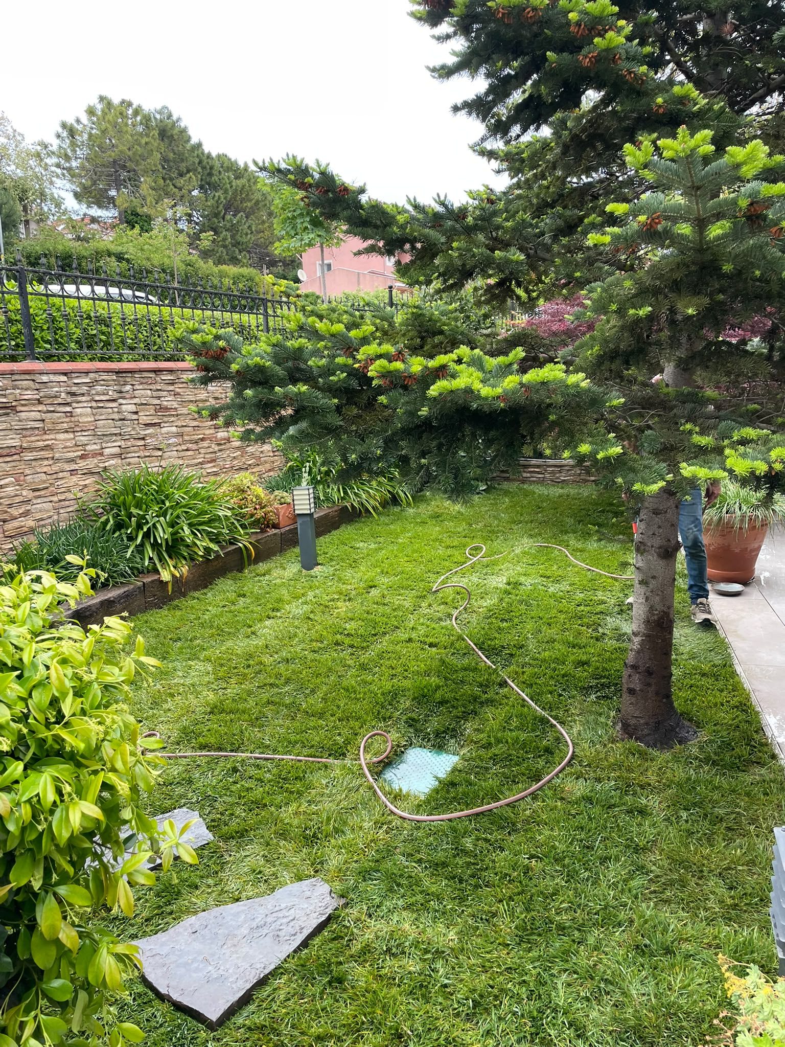 Uskumruköy Villa Bahçesi Rulo Çim ve Adım Taşı Uygulaması